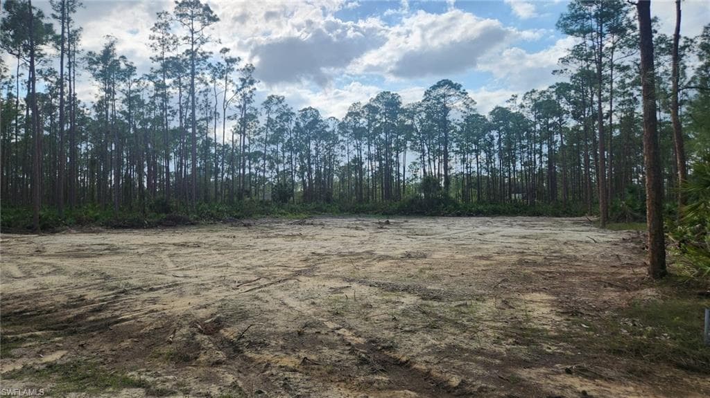 2121 Columbus AVE ALVA, FL 33920
