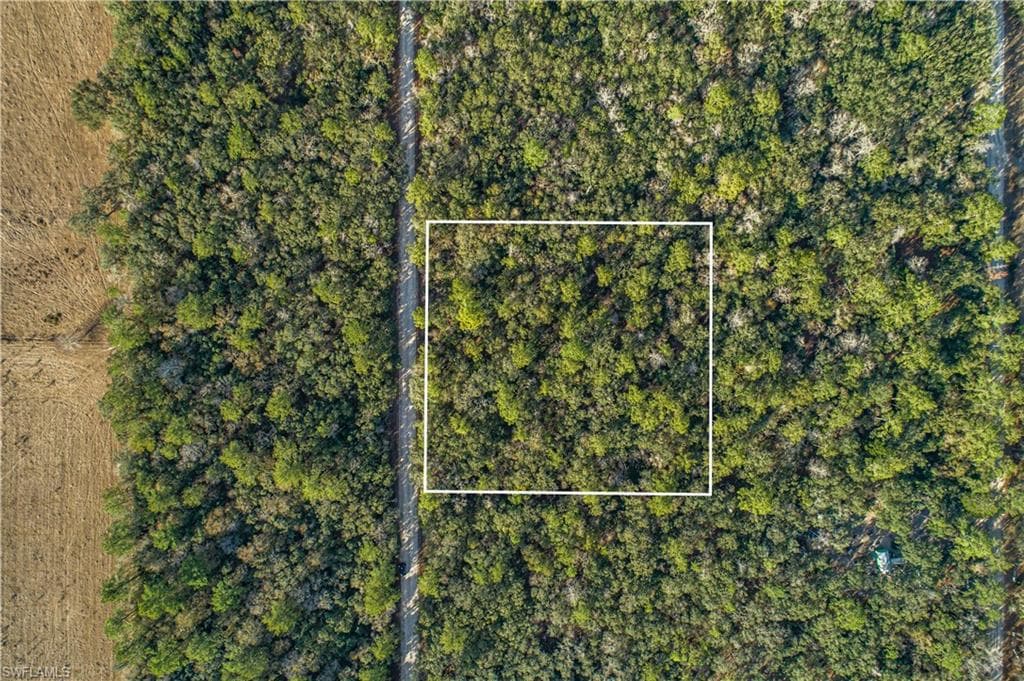 SE Wild Turkey RD SE BRANFORD, FL 32088