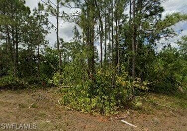 204 W 18th ST LEHIGH ACRES, FL 33972