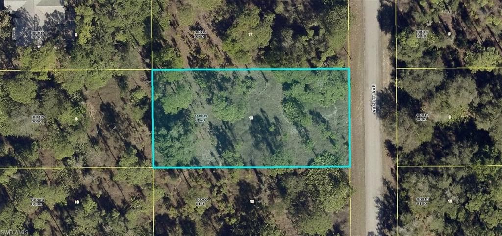 1209 Abbott AVE LEHIGH ACRES, FL 33972