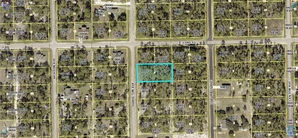 2220 Hamilton AVE ALVA, FL 33920