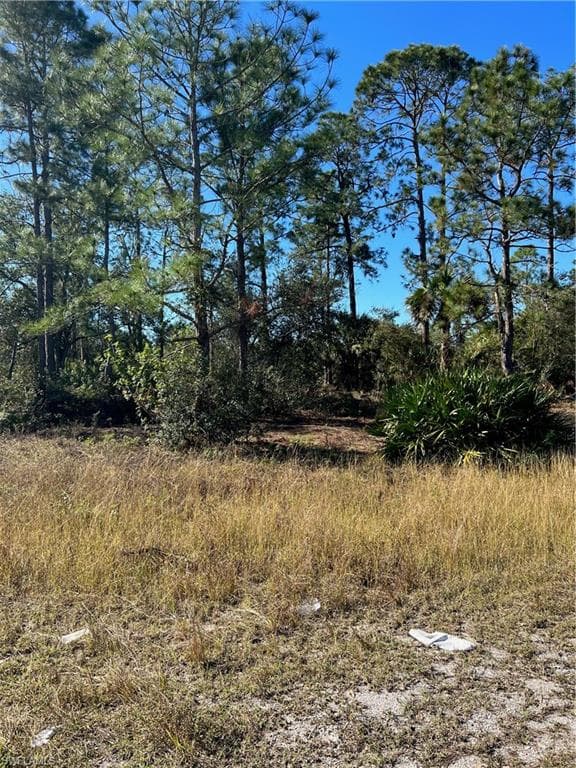 622 Delmonico ST LEHIGH ACRES, FL 33974