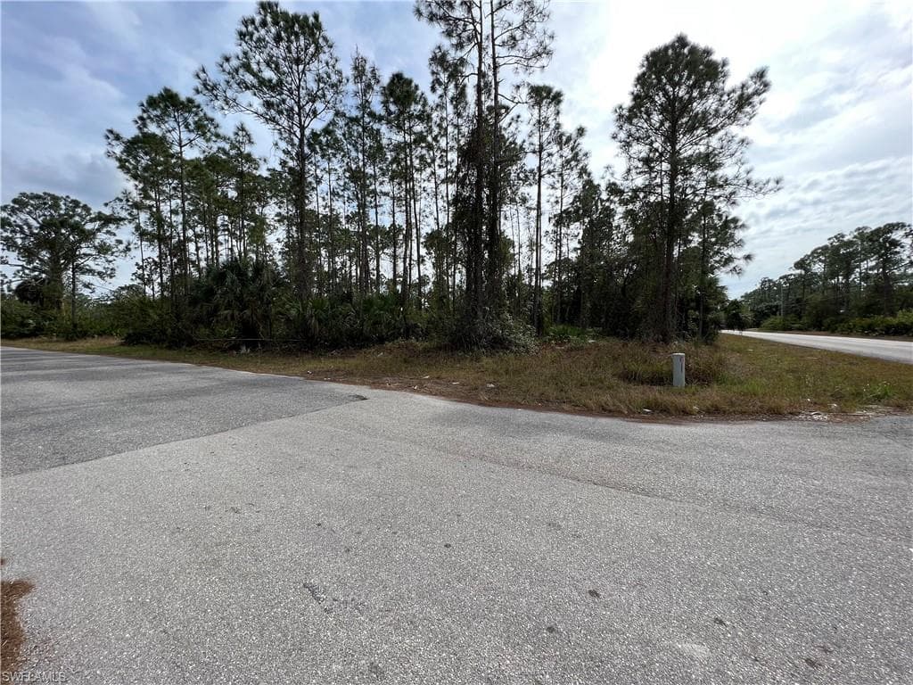 1007 W 11th ST LEHIGH ACRES, FL 33972