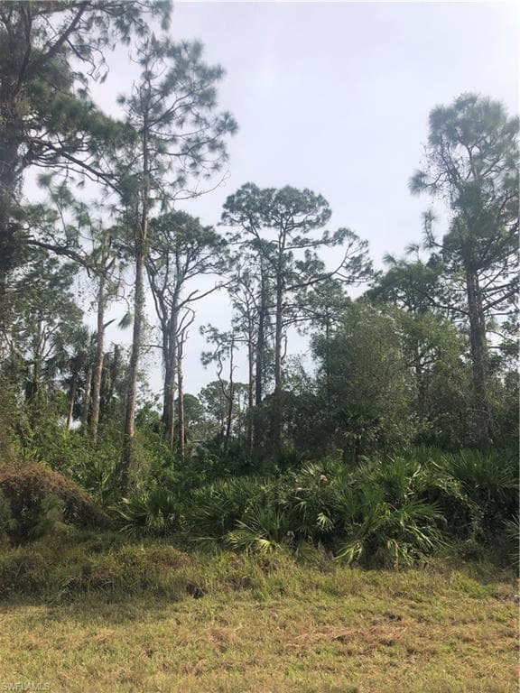233 Pinola AVE S LEHIGH ACRES, FL 33974