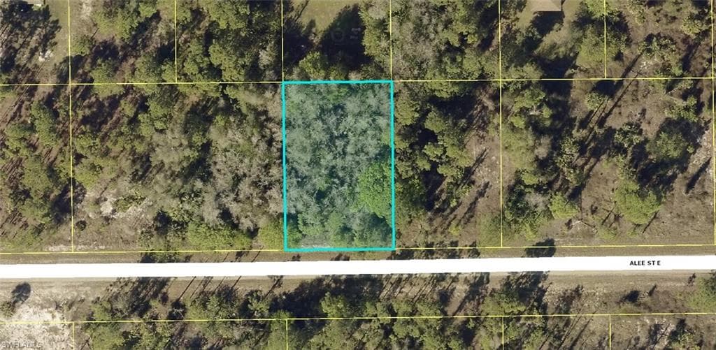 721 Alee ST E LEHIGH ACRES, FL 33974