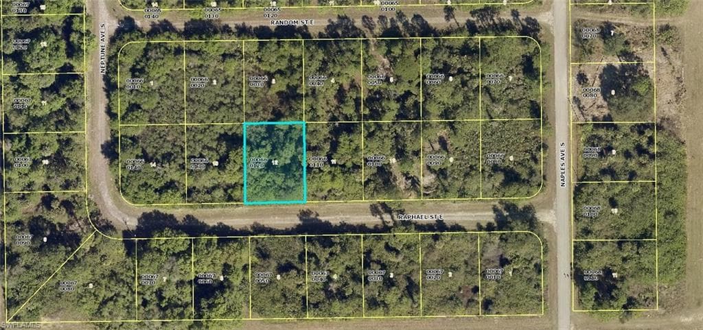 1239 Raphael ST E LEHIGH ACRES, FL 33974