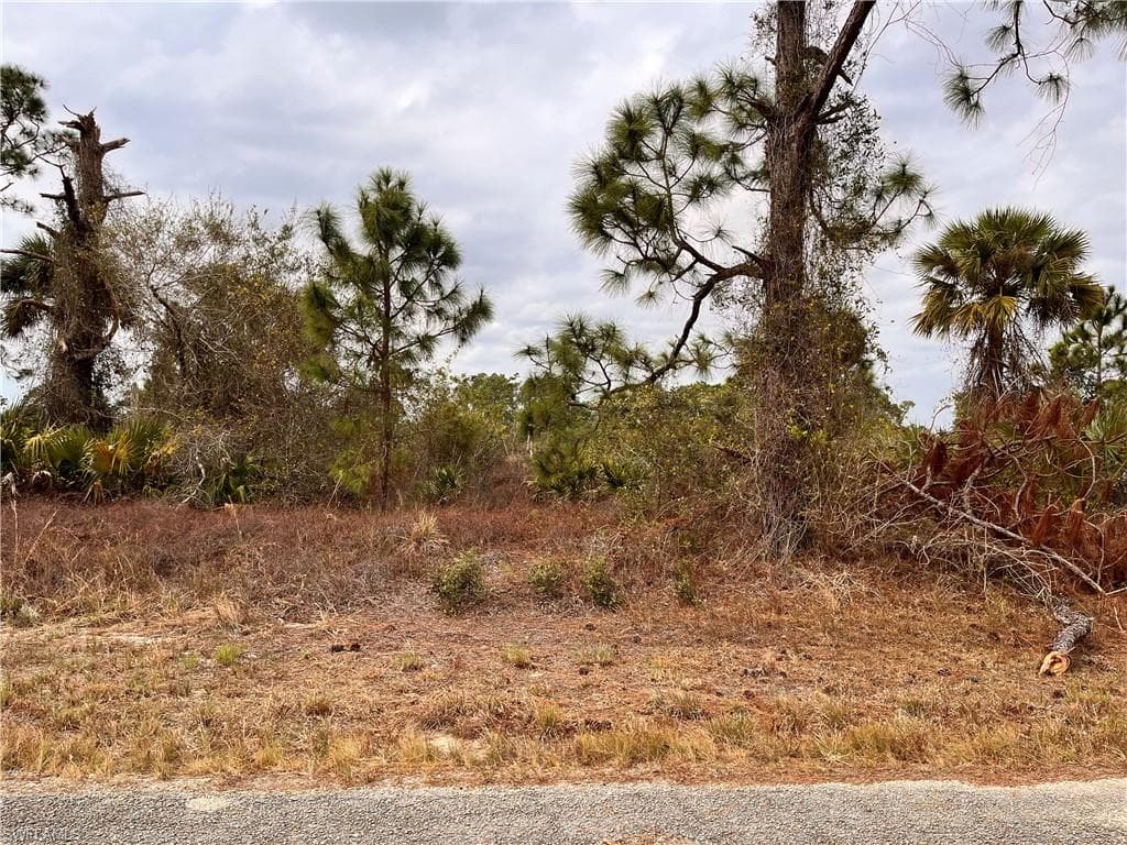 648 Muldoon AVE S LEHIGH ACRES, FL 33974