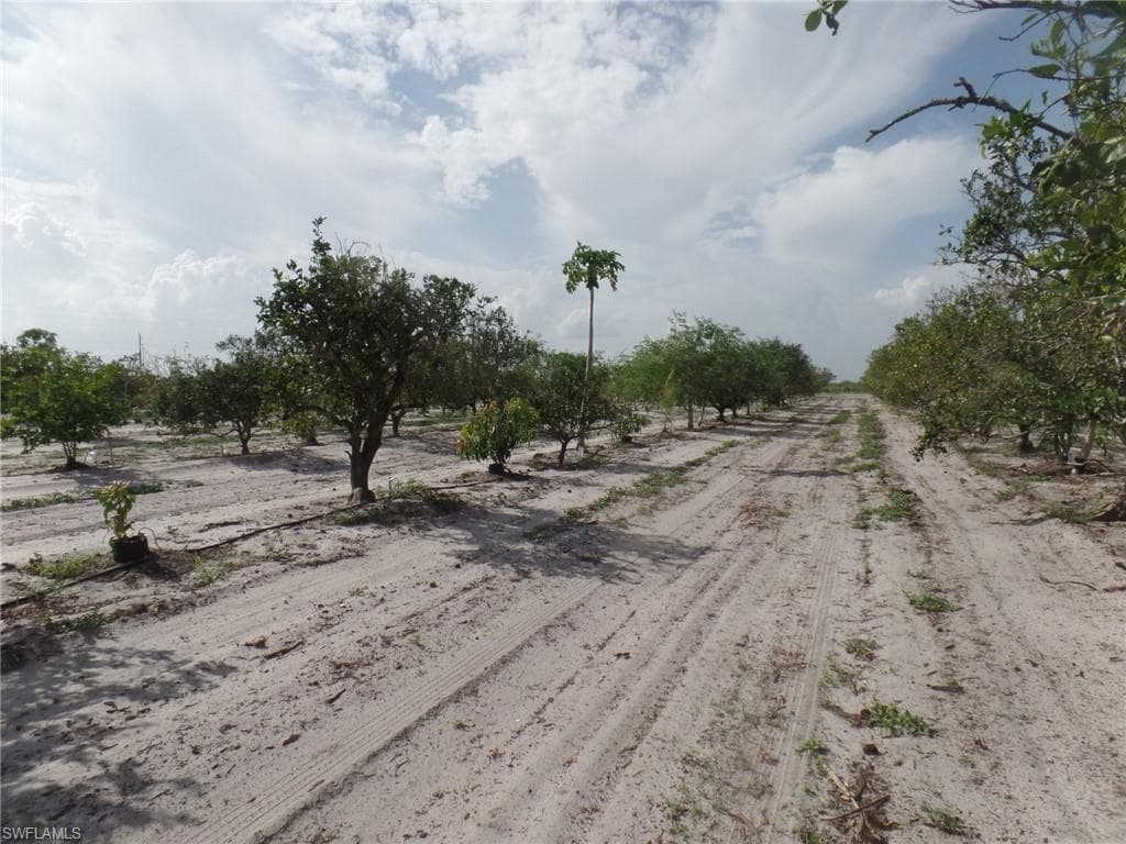 Neal RD PUNTA GORDA, FL 33982