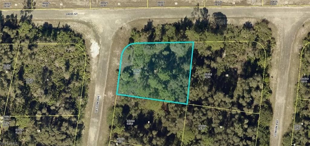1009 Legion AVE LEHIGH ACRES, FL 33974