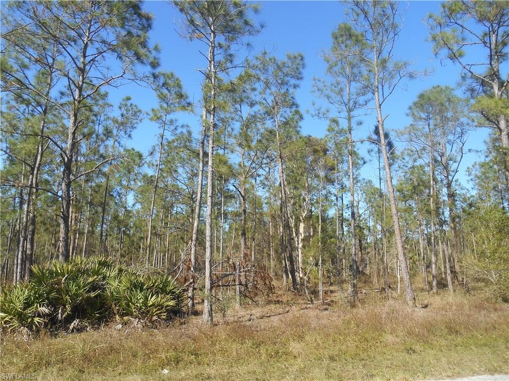 1319 Jackson AVE LEHIGH ACRES, FL 33972