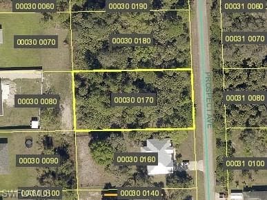 609 Prospect AVE LEHIGH ACRES, FL 33972