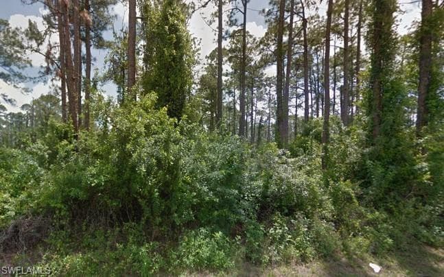 3002 21st ST ALVA, FL 33920