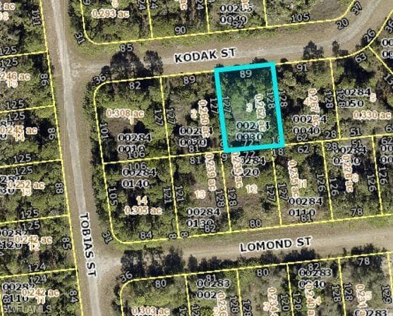 673 Kodak ST LEHIGH ACRES, FL 33972