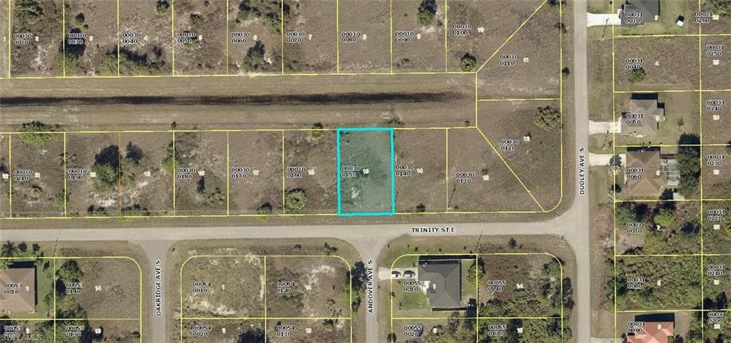 545 Trinity ST E LEHIGH ACRES, FL 33974