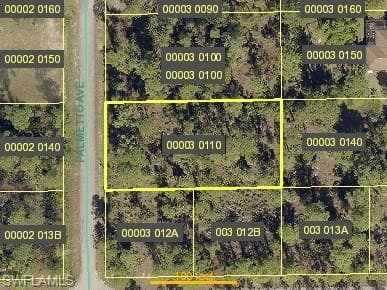 802 Palmetto AVE LEHIGH ACRES, FL 33972