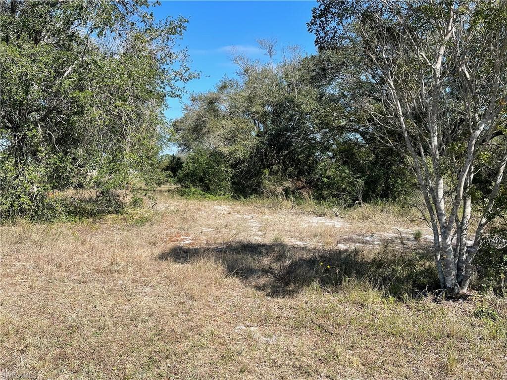 611 Tarapin AVE LEHIGH ACRES, FL 33974