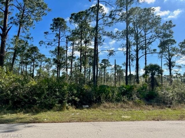 3104 E 21st ST ALVA, FL 33920