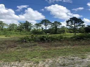 1045 Butler ST E LEHIGH ACRES, FL 33974