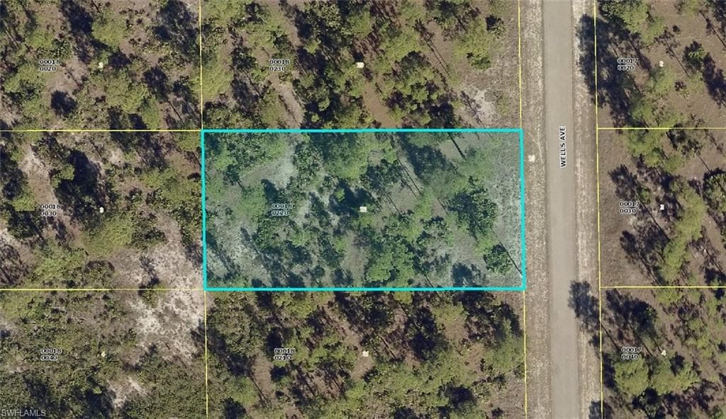 519 Wells AVE LEHIGH ACRES, FL 33972