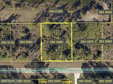 911 Moonbeam ST LEHIGH ACRES, FL 33974