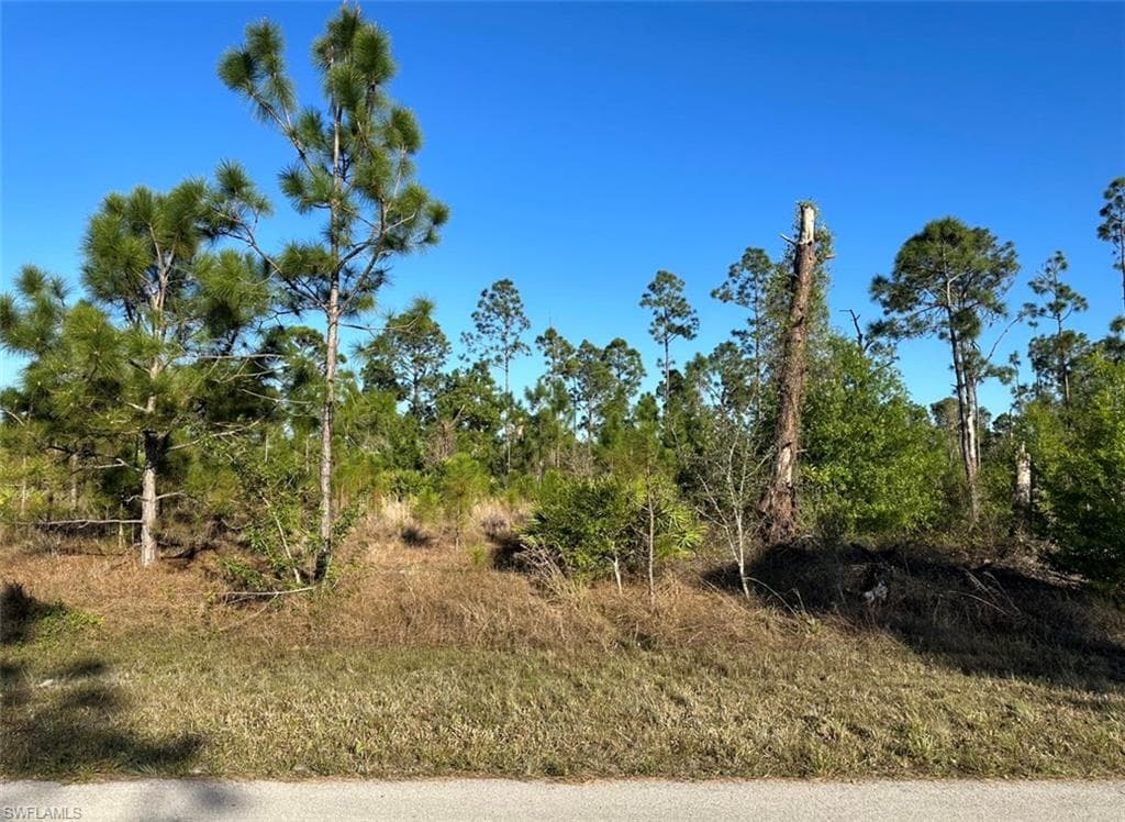 1009 Fayette AVE LEHIGH ACRES, FL 33974