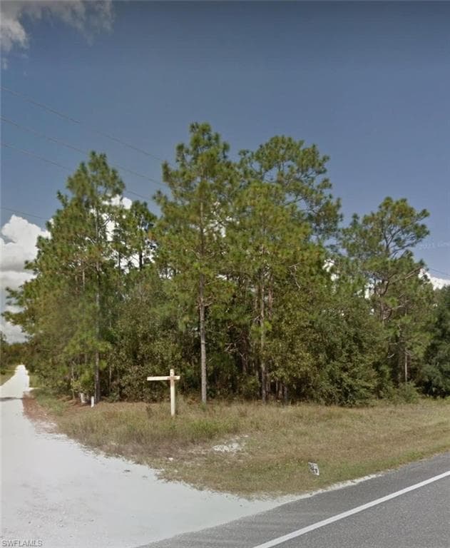 LOT 1 GOLDEN PARADISE MORRISTON, FL 32668