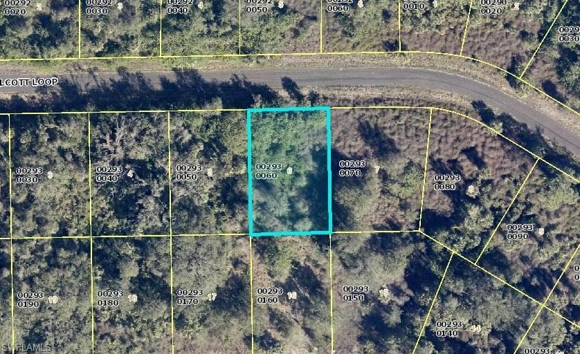 1976 Walcott LOOP LEHIGH ACRES, FL 33972
