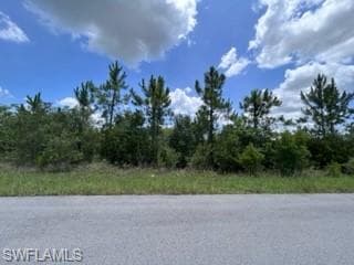 412 Yolanda ST LEHIGH ACRES, FL 33972