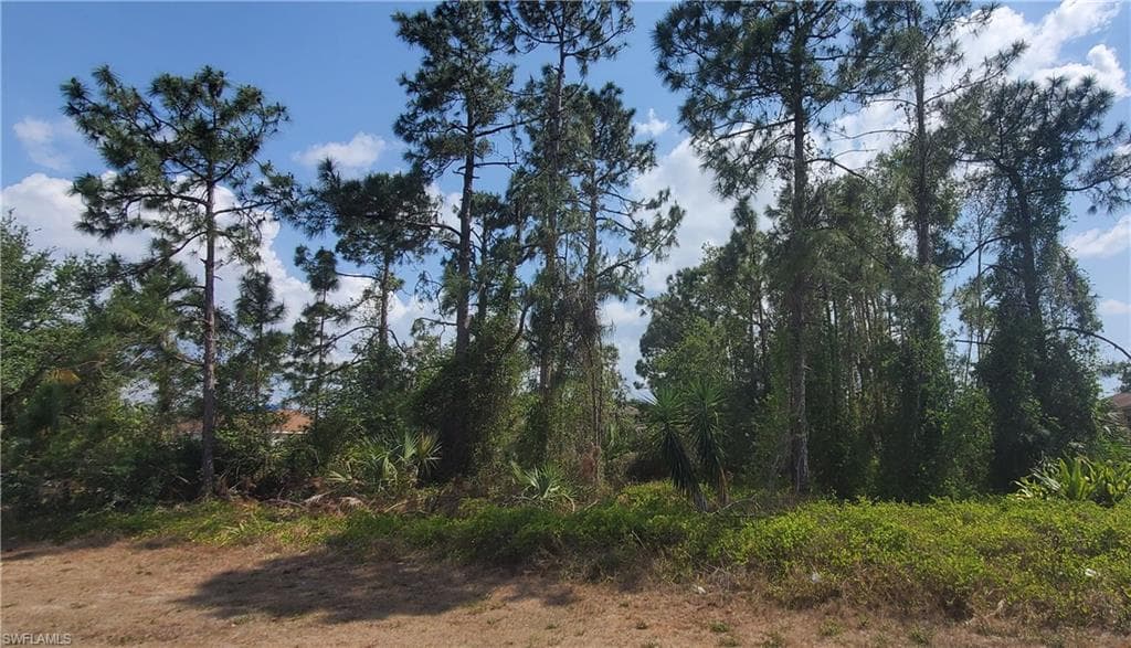 3509 39th ST SW LEHIGH ACRES, FL 33976