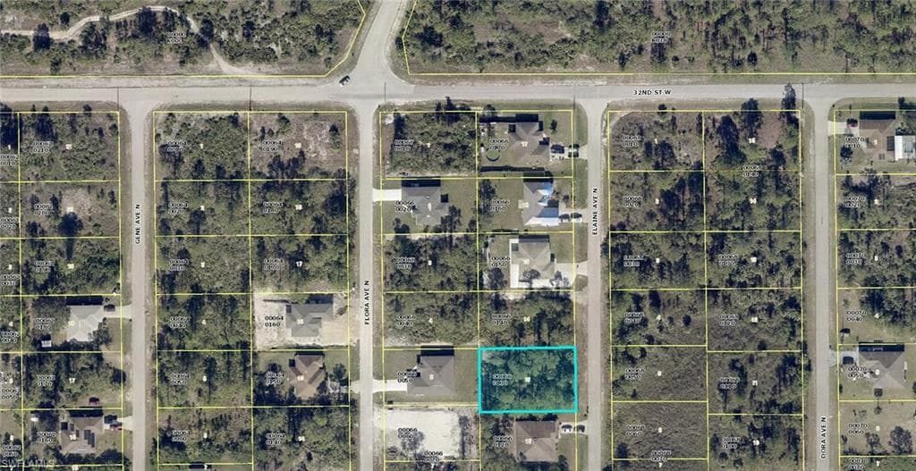 2913 Elaine AVE N LEHIGH ACRES, FL 33971