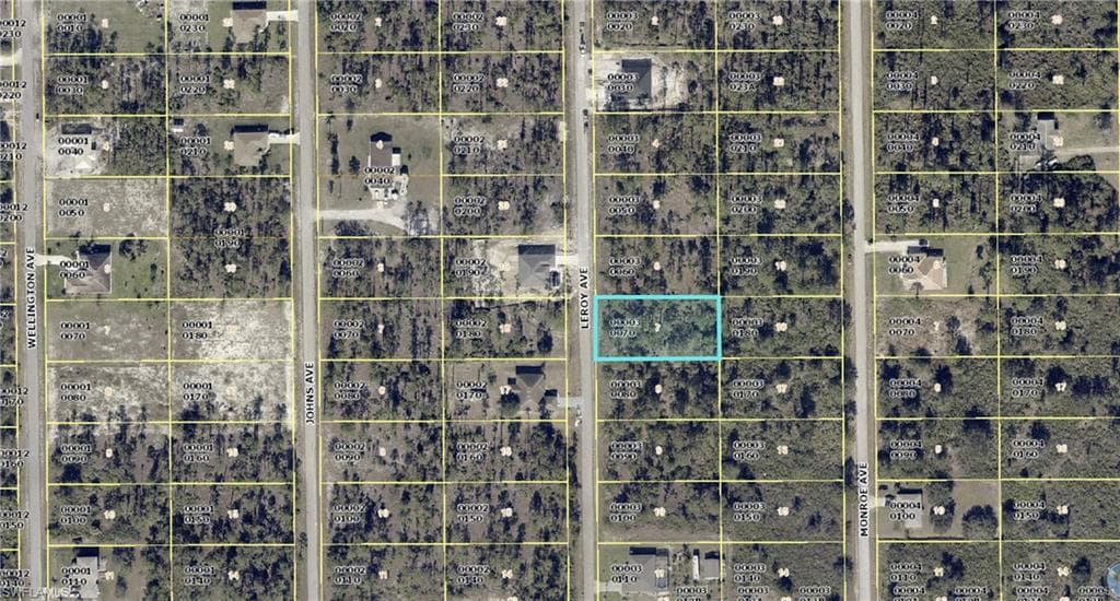 810 Leroy AVE LEHIGH ACRES, FL 33972