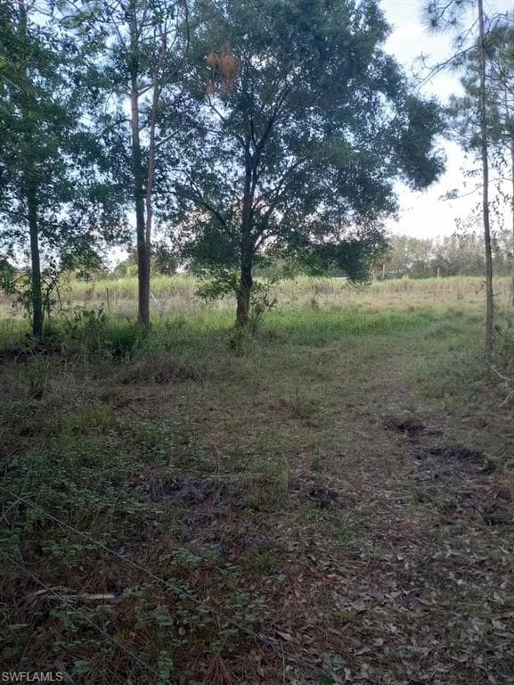 397 Tampa AVE CLEWISTON, FL 33440