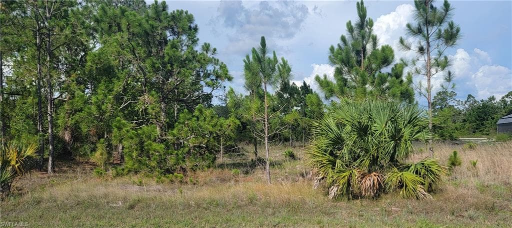 225 Euphrates AVE S LEHIGH ACRES, FL 33974