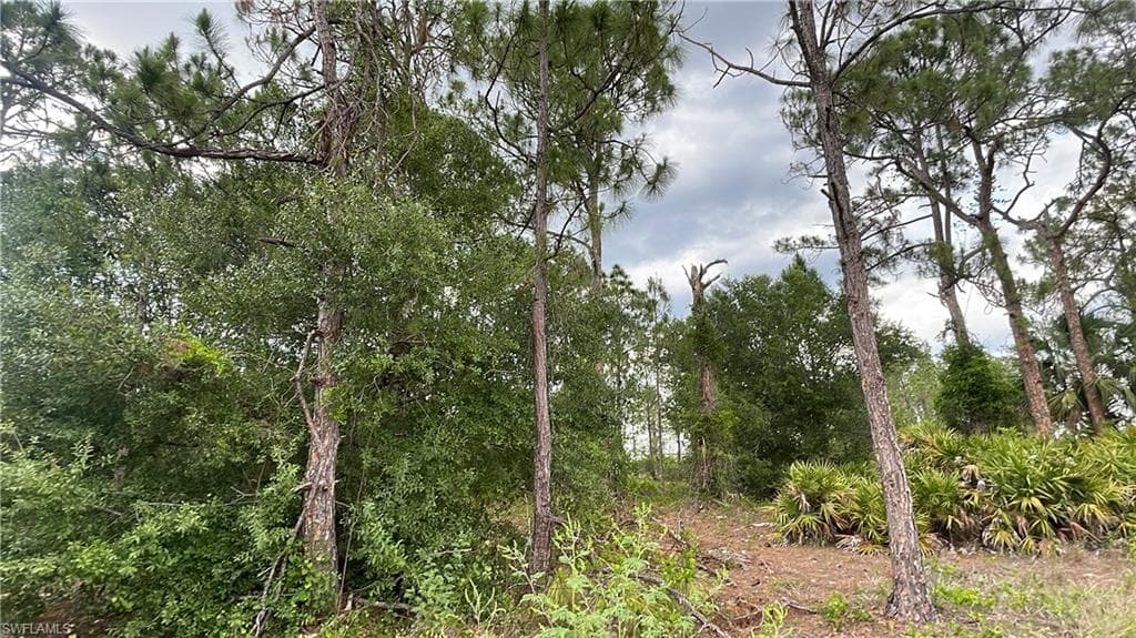 520 Lillon AVE S LEHIGH ACRES, FL 33974