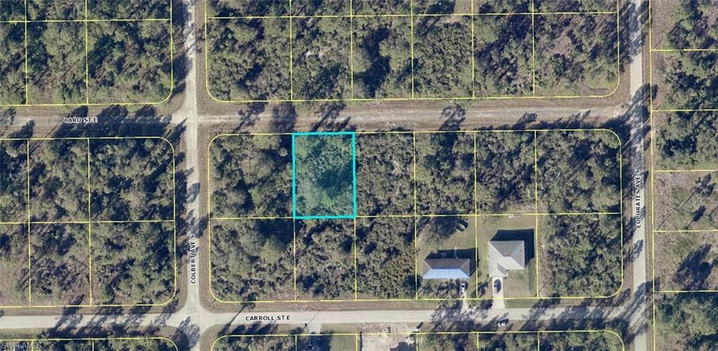 1032 Card ST E LEHIGH ACRES, FL 33974