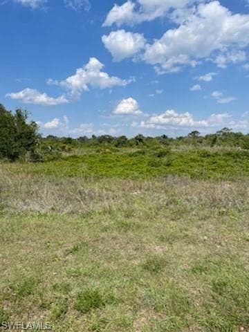 14540 Old Olga RD FORT MYERS, FL 33905