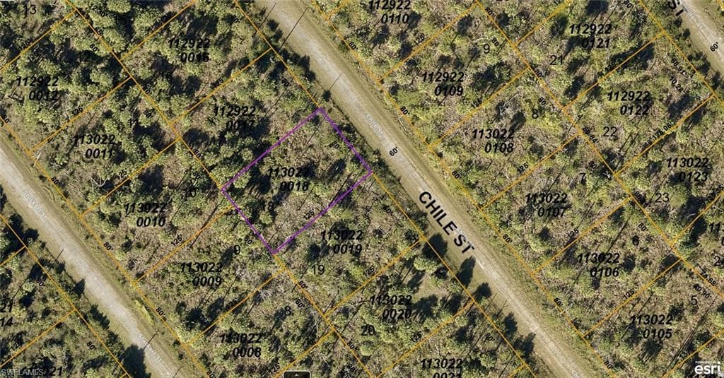 1130220018 Chile ST NORTH PORT, FL 34269