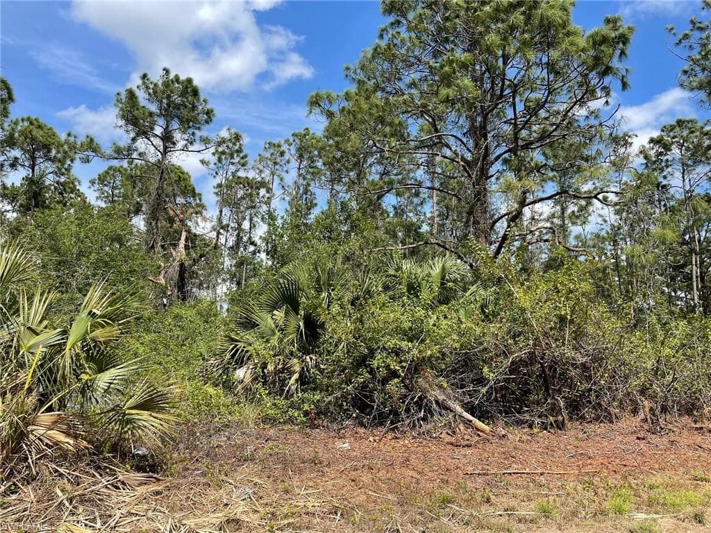 1111 Ralph ST LEHIGH ACRES, FL 33974