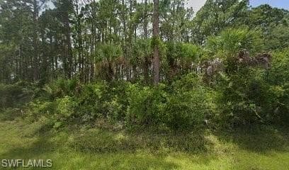 12223 Chamberlain BLVD PORT CHARLOTTE, FL 33953