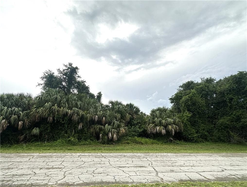 Banjo CT LABELLE, FL 33935
