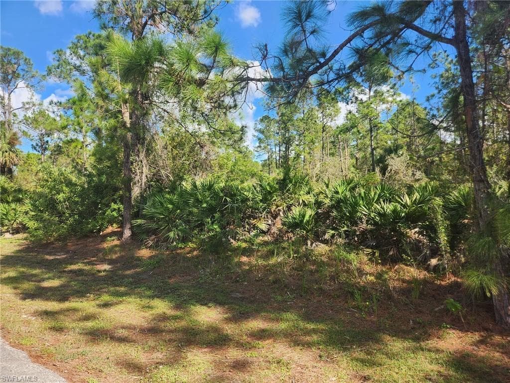 2110 Moore AVE ALVA, FL 33920