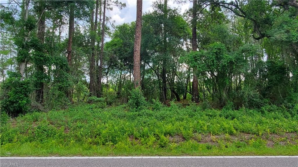 35107 Richardson BLVD WEBSTER, FL 33597