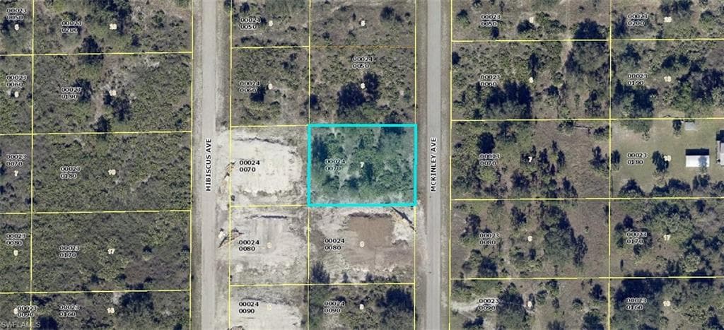 1311 McKinley AVE LEHIGH ACRES, FL 33972