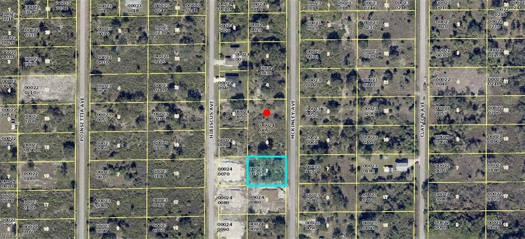 1315 Mckinley AVE LEHIGH ACRES, FL 33972