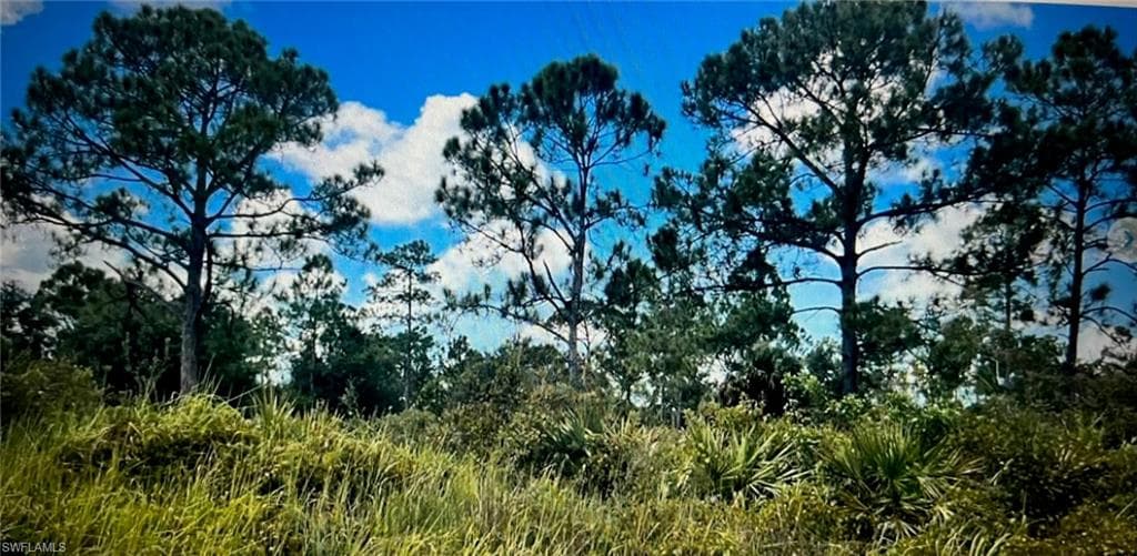 807 Monroe DR LEHIGH ACRES, FL 33936