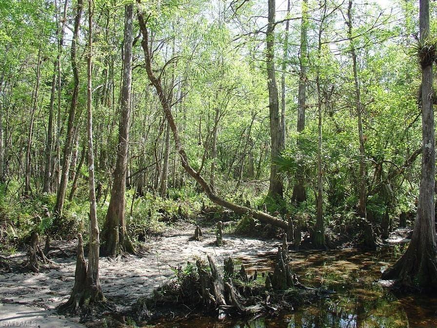975 N Silver Lake RD LABELLE, FL 33935