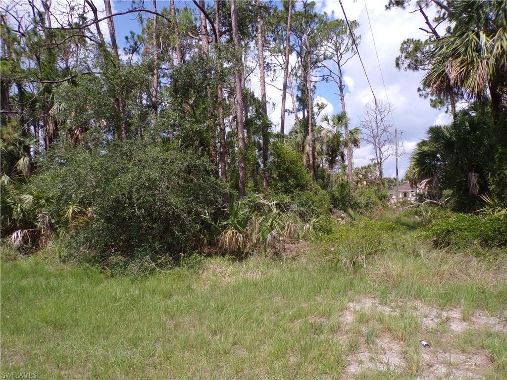 335 Cornelius BLVD PORT CHARLOTTE, FL 33953