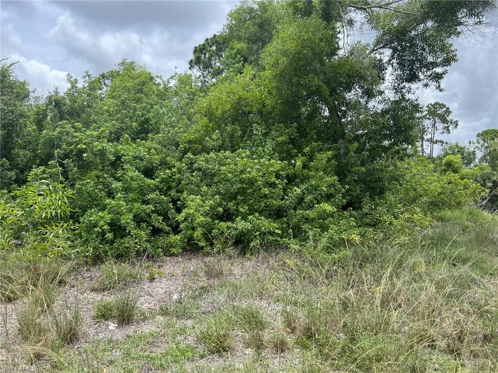 50 Xelda AVE S LEHIGH ACRES, FL 33976