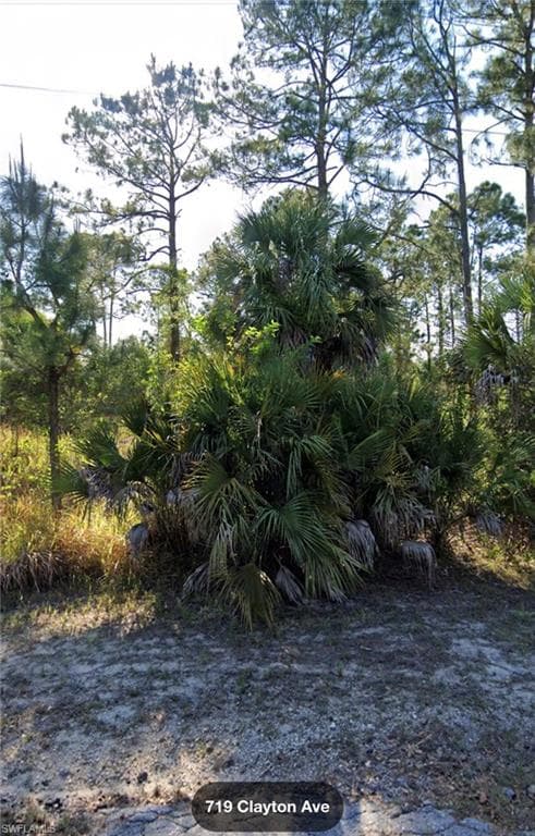 719 Clayton AVE LEHIGH ACRES, FL 33972