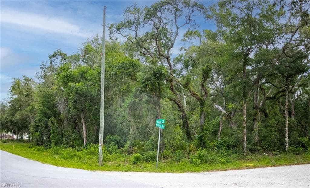 6425 Yam ST WEBSTER, FL 33597